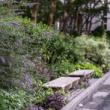 Park Walks, June 08, 2026, 06/08/2026, Discover Local Horticulture in the Park