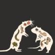 Author Readings, May 14, 2026, 05/14/2026, Translator&nbsp;Shares His New&nbsp;Translation of&nbsp;City of Rats