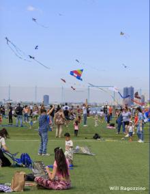Festivals, May 16, 2026, 05/16/2026, Kite Flying Celebration in the Park