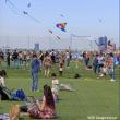 Festivals, May 16, 2026, 05/16/2026, Kite Flying Celebration in the Park