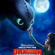 Movie in a Parks, May 23, 2026, 05/23/2026, How To Train Your Dragon (2010): Animated Fantasy Film (under the Nightsky)