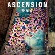 Movie in a Parks, June 14, 2026, 06/14/2026, Tribeca Film Festival: Ascension (2021) -- Documentary on Class, Productivity, & Innovation