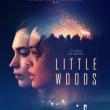 Screenings, June 11, 2026, 06/11/2026, Tribeca Film Festival: Little Woods (2018): Crime Drama with Tessa Thompson (+ Producer Q&A)