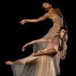 Dance Performances, June 27, 2026, 06/27/2026, Modern Dance Showcase of Intention, Interpretation, & Presence