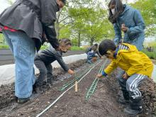 Workshops, May 23, 2026, 05/23/2026, Discover One of Manhattan's Urban Farms: Taste Produce, Meet Wildlife, & More (Families & Individuals Welcome)