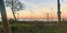 Park Walks, June 06, 2026, 06/06/2026, Discover One of NYC's Historic Parks