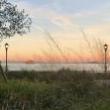 Park Walks, June 06, 2026, 06/06/2026, Discover One of NYC's Historic Parks