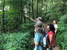 Birdwatchings, June 27, 2026, 06/27/2026, Morning Birding in the Park