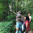 Birdwatchings, June 27, 2026, 06/27/2026, Morning Birding in the Park