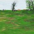 Poetry Readings, June 04, 2026, 06/04/2026, O Lungo Drom (The Long Road): Poetry by Sinti & Roma Writers