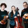 Concerts, June 20, 2026, 06/20/2026, Trio Fadol&iacute;n: Outdoor Chamber Music Performance