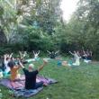 Workshops, May 31, 2026, 05/31/2026, Multi-Level Community Yoga in the Park