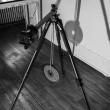 Opening Receptions, June 17, 2026, 06/17/2026, True Hole: New York Times & Paris Review-Featured Photographer's Solo Exhibition