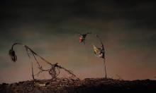 Opening Receptions, June 26, 2026, 06/26/2026, In a Free State: Multi-Media Group Exhibition on This "Fraught Moment"