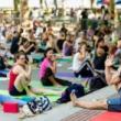 Workshops, July 14, 2026, 07/14/2026, Yoga in the Park: Strength, Clarity, & Inner Peace (All Levels Welcome)