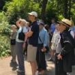 Birdwatchings, July 10, 2026, 07/10/2026, Birding on the Hudson