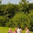 Partys, June 28, 2026, 06/28/2026, Reading on the Lawn: Bring a Book & Make New Friends (+ Live Music)