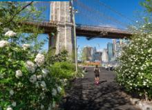 Park Walks, July 08, 2026, 07/08/2026, Guided Walk on History & Architecture of the Brooklyn Bridge
