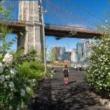Park Walks, June 30, 2026, 06/30/2026, Guided Walk on History & Architecture of the Brooklyn Bridge