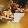 Concerts, July 29, 2026, 07/29/2026, "Luminous" Orchestral Works by Mozart, Schubert, & More