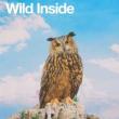Movie in a Parks, July 29, 2026, 07/29/2026, Wild Inside (2026): NYC Nature Documentary in the Park (World Premiere)