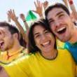 Screenings, July 19, 2026, 07/19/2026, Giant World Cup Final Watch Party