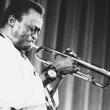 Concerts, August 21, 2026, 08/21/2026, An Evening of Miles Davis's Music in the Park