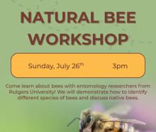 Workshops, July 26, 2026, 07/26/2026, Rutgers University Researchers Lead Lesson on Local Bees