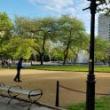 Workshops, July 15, 2026, 07/15/2026, French&nbsp;Petanque-Playing in the Park