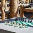 Workshops, August 15, 2026, 08/15/2026, Chess Grandmaster in Action: Talk & Simultaneous Exhibition