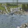 Lectures, August 05, 2026, 08/05/2026, Inside the History of New York City Public Pools&nbsp;