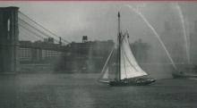 Screenings, August 13, 2026, 08/13/2026, Archival Footage & An Environmental Grassroots Movement: Down By the Riverside