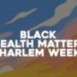 Fairs, August 13, 2026, 08/13/2026, Discussions & Clinics Focusing on Health in the Black&nbsp;Community