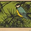 Birdwatchings, August 27, 2026, 08/27/2026, Spot Central Park's Late Summer Migrators&nbsp;with an Expert