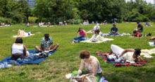Partys, September 20, 2026, 09/20/2026, Reading on the Lawn: Bring a Book & Make New Friends (+ Live Music)