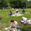 Partys, September 20, 2026, 09/20/2026, Reading on the Lawn: Bring a Book & Make New Friends (+ Live Music)
