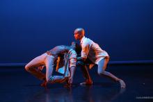Dancings, August 16, 2026, 08/16/2026, Historic Dance Festival in the Park: Battery Dance, Half Century Dance, & More