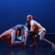 Dancings, August 16, 2026, 08/16/2026, Historic Dance Festival in the Park: Battery Dance, Half Century Dance, & More