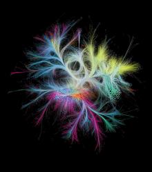 Talks, September 23, 2026, 09/23/2026, Network Science Expert Discusses Modern Architectural History & Visual Journey of Networks