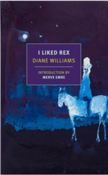 Book Discussions, September 08, 2026, 09/08/2026, "Erudite, Elegant & Stubbornly Experimental" (New York Times) Writer Shares Her New Short Story Collection