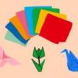 Workshops, August 12, 2026, 08/12/2026, Learn the Japanese Art of Origami