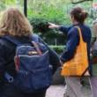 Park Walks, September 19, 2026, 09/19/2026, Bilingual Autumn Park Tour