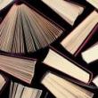 Book Discussions, September 15, 2026, 09/15/2026, Read & Discuss&nbsp;Real Americans by Rachel Khong