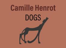 Installations, September 09, 2026, 09/09/2026, Dogs: Solo Exhibition of Canine Sculptures (Opening Celebration in the Park)