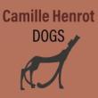 Installations, September 09, 2026, 09/09/2026, Dogs: Solo Exhibition of Canine Sculptures (Opening Celebration in the Park)