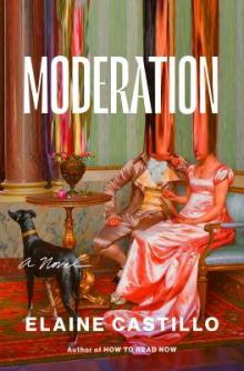 Book Clubs, August 20, 2026, 08/20/2026, Luddite Book Club --&nbsp;Moderation: A Novel&nbsp;