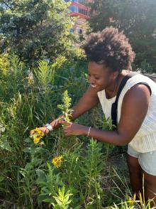 Festivals, September 19, 2026, 09/19/2026, Celebrate Pollinators: Monarchs, Bees & More