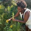 Festivals, September 19, 2026, 09/19/2026, Celebrate Pollinators: Monarchs, Bees & More