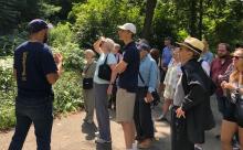Birdwatchings, September 18, 2026, 09/18/2026, Birding on the Hudson
