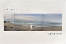 Book Discussions, September 09, 2026, 09/09/2026, Book Launch: Panorama-Style Photo Book, Chronicle